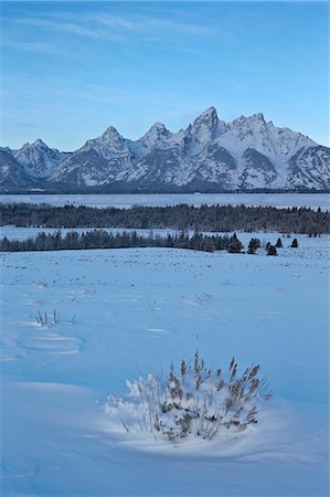 simsearch:841-09077206,k - The Tetons at dawn after a fresh snow, Grand Teton National Park, Wyoming, United States of America, North America Stockbilder - Lizenzpflichtiges, Bildnummer: 841-07082504