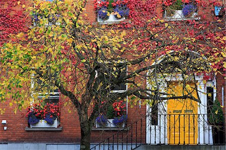 South Mall, Cork City, County Cork, Munster, Republic of Ireland, Europe Photographie de stock - Rights-Managed, Code: 841-07082531