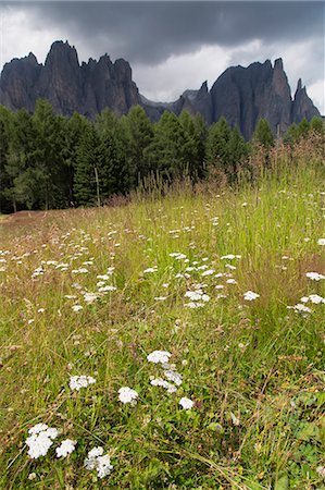 simsearch:841-06448784,k - Meadow and the Rosengarten Peaks in the Dolomites near Canazei, Trentino-Alto Adige, Italy, Europe Foto de stock - Con derechos protegidos, Código: 841-07082701