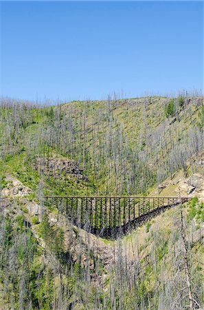 Old railway trestles in Myra Canyon, Kelowna, British Columbia, Canada, North America Foto de stock - Direito Controlado, Número: 841-07082775