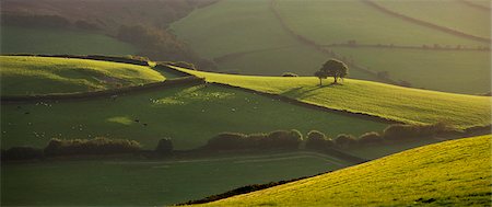 exmoor national park - Rolling countryside near Oare, Exmoor National Park, Somerset, England, United Kingdom, Europe Foto de stock - Con derechos protegidos, Código: 841-07082895