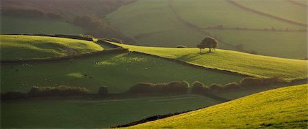 Rolling countryside near Oare, Exmoor National Park, Somerset, England, United Kingdom, Europe Foto de stock - Con derechos protegidos, Código: 841-07082895