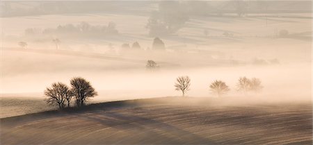 simsearch:841-09255795,k - Mist covered rolling countryside, near Thorverton, Devon, England, United Kingdom, Europe Fotografie stock - Rights-Managed, Codice: 841-07082918