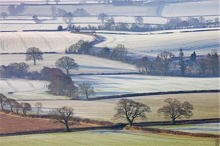 devon uk - Frosted winter fields near Shobrooke, Devon, England, United Kingdom, Europe Stock Photo - Rights-Managed, Code: 841-07082919