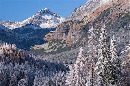 Snow dusted mountains and pine forests of the High Tatras, Tatra Mountains, Slovakia, Europe Foto de stock - Con derechos protegidos, Código: 841-07082957