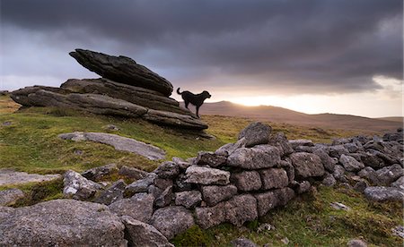 simsearch:841-06805563,k - The Hound of the Baskervilles, roaming Belstone Tor on Dartmoor National Park, Devon, England, United Kingdom, Europe Foto de stock - Con derechos protegidos, Código: 841-07082980