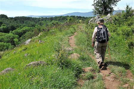 peregrino - Pilgrim walking on the Way of St. James, Christian pilgrimage route towards Saint-Jacques-de-Compostelle (Santiago de Compostela), Languedoc-Roussillon, France, Europe Foto de stock - Con derechos protegidos, Código: 841-07083214