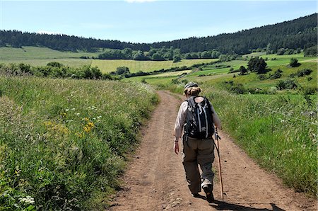 peregrinación - Pilgrim walking on the Way of St. James, Christian pilgrimage route towards Saint-Jacques-de-Compostelle (Santiago de Compostela), Languedoc-Roussillon, France, Europe Foto de stock - Con derechos protegidos, Código: 841-07083216