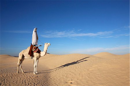 desert camel images - Dromedary rider in the Sahara, Douz, Kebili, Tunisia, North Africa, Africa Stock Photo - Rights-Managed, Code: 841-07083357