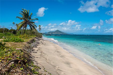 fédération de saint-kitts-et-nevis - Beach at Long Haul Bay, Nevis Island, St. Kitts and Nevis, Leeward Islands, West Indies, Caribbean, Central America Photographie de stock - Rights-Managed, Code: 841-07083389