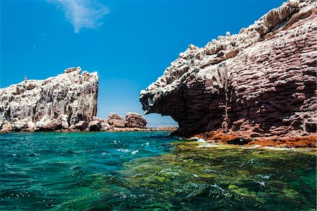 Sea lion colony at Isla Espiritu Santo, Baja California, Mexico, North America Stock Photo - Rights-Managed, Code: 841-07083444