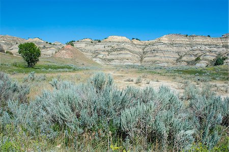 The northern part of the Roosevelt National Park, North Dakota, United States of America, North America Photographie de stock - Rights-Managed, Code: 841-07083528