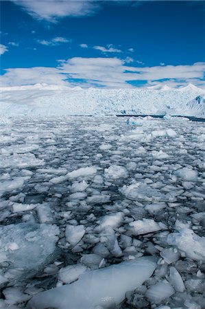 simsearch:841-07083552,k - Glacier and icebergs in Cierva Cove, Antarctica, Polar Regions Photographie de stock - Rights-Managed, Code: 841-07083543