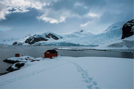 foot prints snow - Argentinean research station on Danco Island, Antarctica, Polar Regions Stock Photo - Rights-Managed, Code: 841-07083560