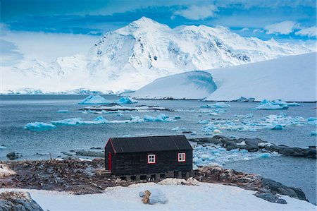 remote cabin nobody - Port Lockroy research station, Antarctica, Polar Regions Stock Photo - Rights-Managed, Code: 841-07083631