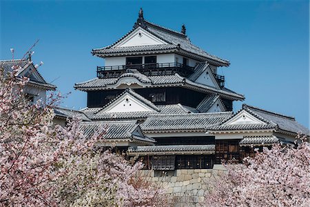 Cherry blossom and the Matsuyama Castle, Shikoku, Japan, Asia Stock Photo - Rights-Managed, Code: 841-07083658