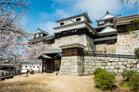 Cherry blossom in the Matsuyama Castle, Shikoku, Japan, Asia Stock Photo - Rights-Managed, Code: 841-07083653