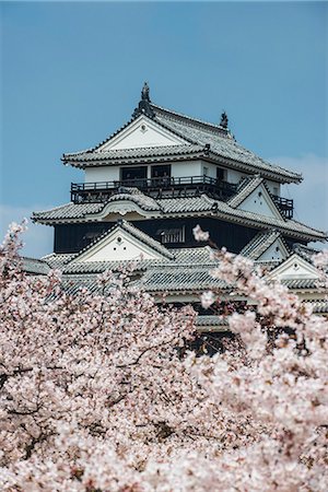 Cherry blossom and the Matsuyama Castle, Shikoku, Japan, Asia Stock Photo - Rights-Managed, Code: 841-07083665