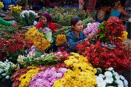 flower stall - Flower market, Hpa-an, Karen State, Myanmar (Burma), Asia Stock Photo - Rights-Managed, Code: 841-07083843