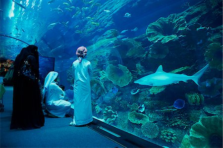 Aquarium, Mall of the Emirates Commercial Center, Dubai, United Arab Emirates, Middle East Foto de stock - Con derechos protegidos, Código: 841-07083870