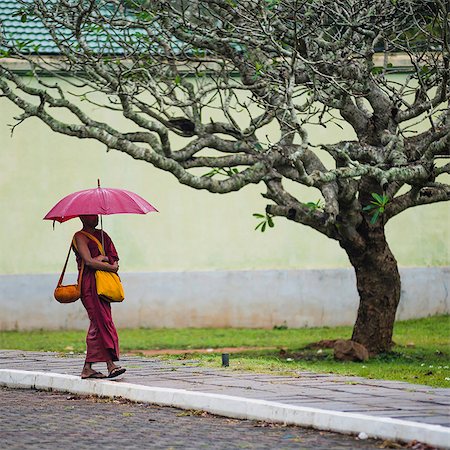 sri lanka - Buddhist monk at Sri Maha Bodhi in the Mahavihara (The Great Monastery), Sacred City of Anuradhapura, UNESCO World Heritage Site, Sri Lanka, Asia Stock Photo - Rights-Managed, Code: 841-07204260