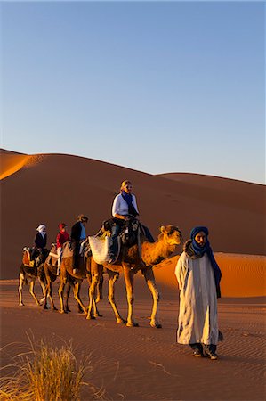 sahara - Tourists on camel safari, Sahara Desert, Merzouga, Morocco, North Africa, Africa Stock Photo - Rights-Managed, Code: 841-07204405