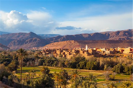 Tinerhir kasbahs and palmery, Tinghir, Todra Valley, Morocco, North Africa, Africa Stock Photo - Rights-Managed, Code: 841-07204408