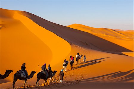 Tourists on camel safari, Sahara Desert, Merzouga, Morocco, North Africa, Africa Photographie de stock - Rights-Managed, Code: 841-07204402