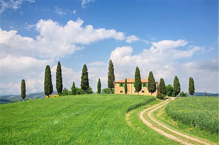 pienza - Farm house with cypress tree, Pienza, Val d'Orcia, UNESCO World Heritage Site, Tuscany, Italy, Europe Stock Photo - Rights-Managed, Code: 841-07204497