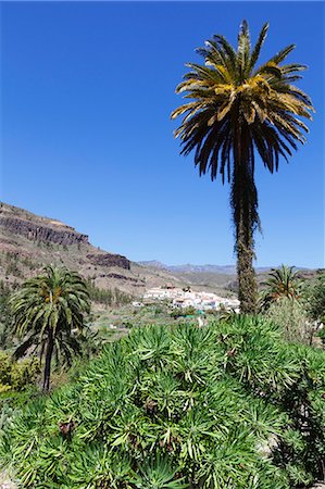 simsearch:841-07204618,k - Fataga, Gran Canaria, Canary Islands, Spain, Atlantic, Europe Foto de stock - Con derechos protegidos, Código: 841-07204726