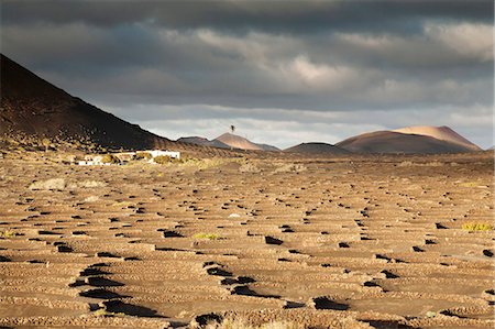 simsearch:841-06345247,k - La Geria, Lanzarote, Canary Islands, Spain, Atlantic, Europe Foto de stock - Con derechos protegidos, Código: 841-07204818