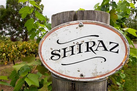 Shiraz sign in the Pepper Tree Winery, Hunter Valley, Australia Stock Photo - Rights-Managed, Code: 841-07204894