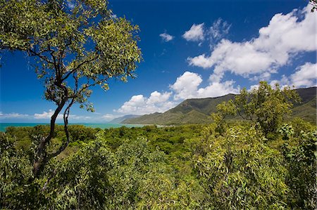 rain forest canopy - View of Thala Beach and the Coral Sea from the Thala Beach Lodge, Port Douglas, Australia Stock Photo - Rights-Managed, Code: 841-07204948