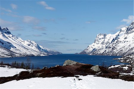 Seaward view from the top of Ersfjord, Kvaloya (Whale Island), Troms, arctic Norway, Scandinavia, Europe Foto de stock - Con derechos protegidos, Código: 841-07205057