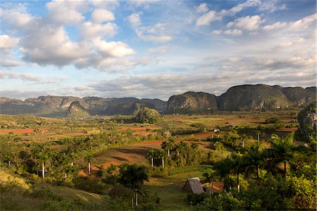 Vinales Valley, UNESCO World Heritage Site, bathed in early morning sunlight, Vinales, Pinar Del Rio Province, Cuba, West Indies, Central America Photographie de stock - Rights-Managed, Code: 841-07205141