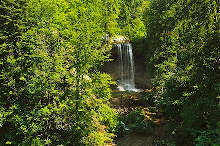 simsearch:841-03055496,k - Scheidegg Waterfalls Nature Park, Scheidegg, Bavaria, Germany, Europe Foto de stock - Con derechos protegidos, Código: 841-07205464