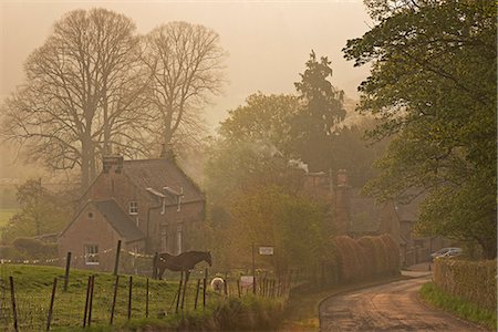 english country farms - Cottages in the village of Chillingham on a misty Spring morning, Northumberland, England, United Kingdom, Europe Stock Photo - Rights-Managed, Code: 841-07205757