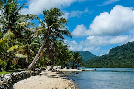 simsearch:841-07205988,k - White sand beach with palm trees, Pohnpei (Ponape), Federated States of Micronesia, Caroline Islands, Central Pacific, Pacific Foto de stock - Con derechos protegidos, Código: 841-07205989