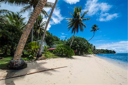 Beautiful white sand beach and palm trees on the island of Yap, Federated States of Micronesia, Caroline Islands, Pacific Foto de stock - Con derechos protegidos, Código: 841-07206003