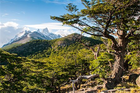 patagonia - Trek up to Mount Fitzroy from the Unesco world heritage sight El Chalten, Argentina, South America Stock Photo - Rights-Managed, Code: 841-07206085