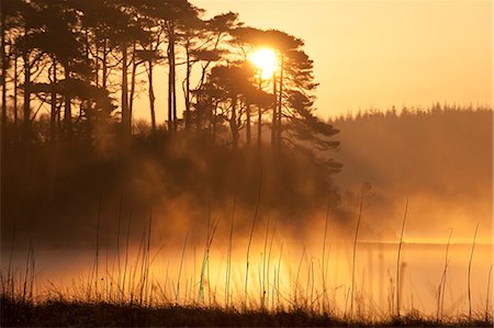 Derryclare Lough at dawn, Connemara, County Galway, Connacht, Republic of Ireland, Europe Stockbilder - Lizenzpflichtiges, Bildnummer: 841-07206465