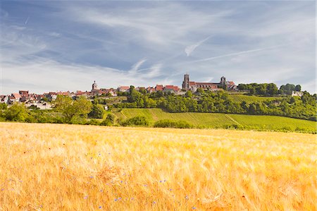 francia - A wheat field below the hilltop village of Vezelay in the Yonne area of Burgundy, France, Europe Foto de stock - Con derechos protegidos, Código: 841-07206554