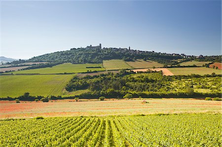 scenic vineyards - Vineyards near to the hilltop village of Vezelay in the Yonne area of Burgundy, France, Europe Stock Photo - Rights-Managed, Code: 841-07206551