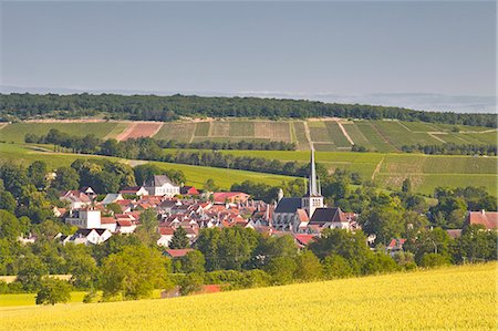 The village of Ricey Bas in the Cote des Bar area, Champagne, France, Europe Stock Photo - Rights-Managed, Code: 841-07206585