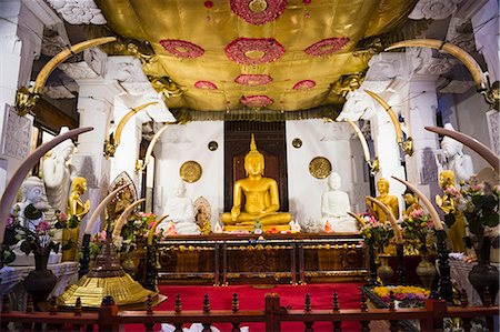 Golden Buddha statue at Temple of the Sacred Tooth Relic (Sri Dalada Maligawa), UNESCO World Heritage Site, Kandy, Sri Lanka, Asia Stock Photo - Rights-Managed, Code: 841-07201386