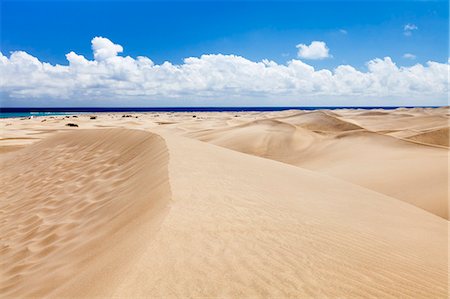 Sand dunes of Maspalomas, Maspalomas, Gran Canaria, Canary Islands, Spain, Atlantic, Europe Foto de stock - Con derechos protegidos, Código: 841-07201560