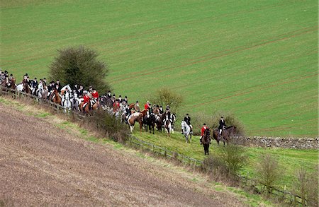 fox hunting horses - Huntsmen gather for a meet at the Heythrop New Year's Day Hunt, Oxfordshire Stock Photo - Rights-Managed, Code: 841-07201655