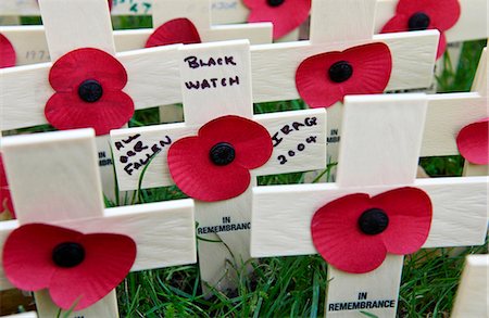simsearch:841-07201683,k - Wooden crosses and poppies in the field of remembrance at Westminster Abbey to commemorate those who have died in battle. Three of the crosses represent members of the Black Watch Regiment who have recently died in Iraq. Photographie de stock - Rights-Managed, Code: 841-07201668