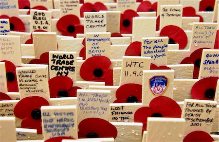 remembrance day - Crosses In The Royal British Legion Field Of Remembrance At St Margaret's Church, Westminster, London Include Many For The Victims Of The World Trade Centre Disaster. Foto de stock - Con derechos protegidos, Código: 841-07201669
