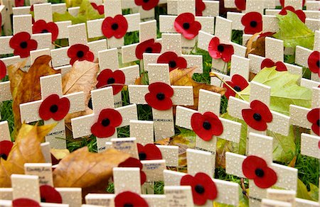 remembrance day - Crosses In The Royal British Legion Field Of Remembrance At St Margaret's Church, Westminster, London Foto de stock - Direito Controlado, Número: 841-07201670